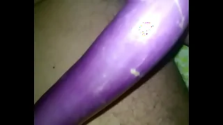 shonu brinjled INDIAN